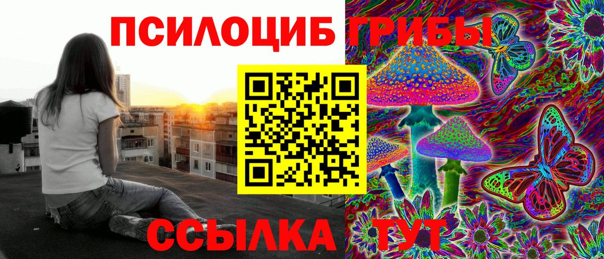 Псилоцибиновые грибы прущие грибы  Вход с VPN  Сосновый Бор 