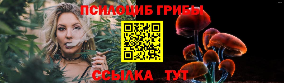 Галлюциногенные грибы мухоморы Сосновый Бор